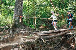 BIB: 
                            <button type="button" onclick="openModal(27554682)" class="btn btn-primary btn-sm float-right btn-popup" data-toggle="modal" data-target=".modal-high-quality">
                        <i class="fas fa-shopping-cart"></i> Add to Cart
                    </button>
                                            <button type="button" onclick="isThisMe(27554682, true)" class="btn btn-success btn-sm float-right btn-popup btn-isme hidden" data-toggle="tooltip" data-placement="bottom" title="นี่คือรูปของคุณใช่ไหม คลิกที่นี่เพื่อเอาเข้าอัลบั้ม">
                        <i class="fas fa-plus"></i> Add to album
                    </button>
                    <button type="button" onclick="isThisMe(27554682, false)" class="btn btn-warning btn-sm float-right btn-popup btn-isnotme hidden">
                        <i class="fas fa-ban"></i> Remove from album
                    </button>